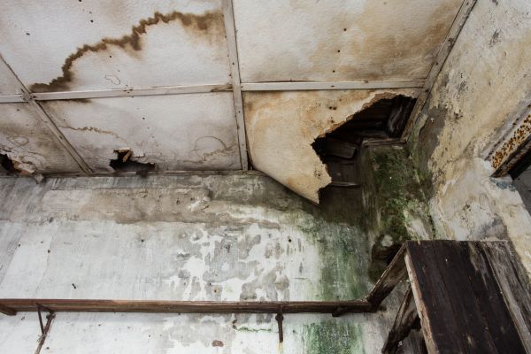 Cost of Water Damage Service in Mansfield
