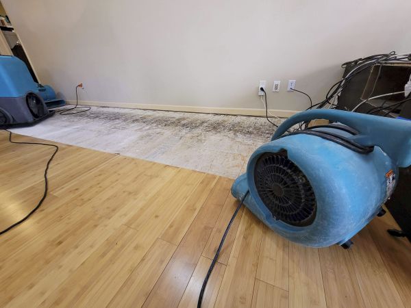 Cost of Water Damage Mitigation in Mansfield