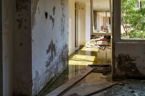 Cost of Water Removal Service in Mansfield