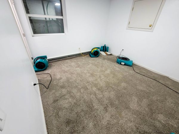 Cost of Flood Restoration Service in Mansfield