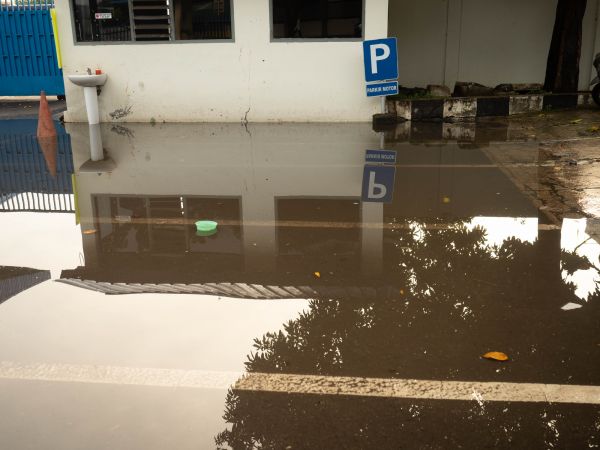 Cost of Storm Damage Repair in Mansfield