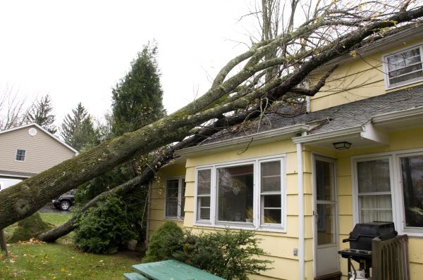 Cost of Hurricane Damage Repair in Mansfield